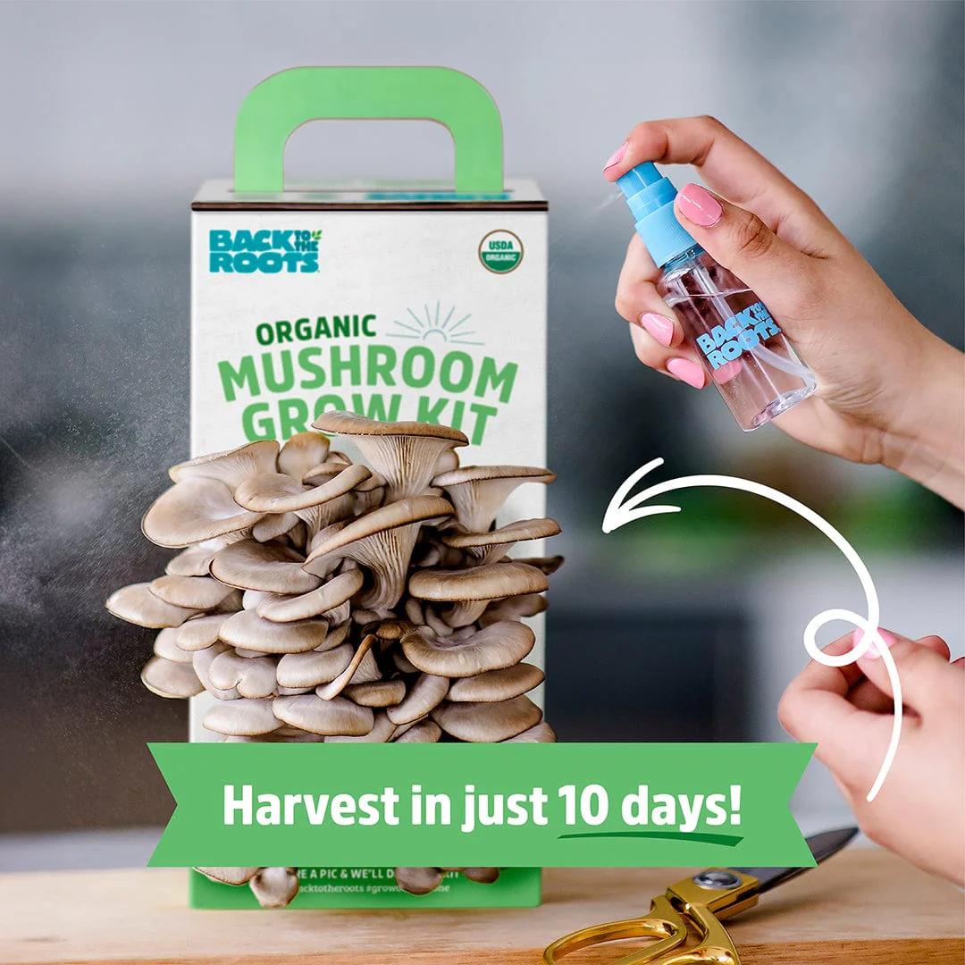 Organic Mushroom Grow Kit - Image 5