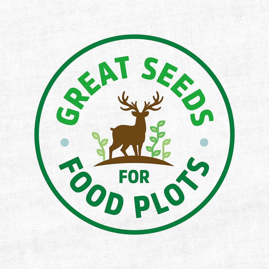 Organic Soybean Cover Crop Seeds - Image 5