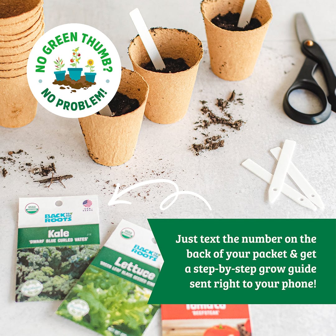 Organic Pepper Medley 5-Pack Seed Bundle - Image 3